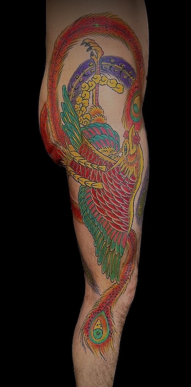 Calypso-Tattoo - Gallery - Bird Phoenix